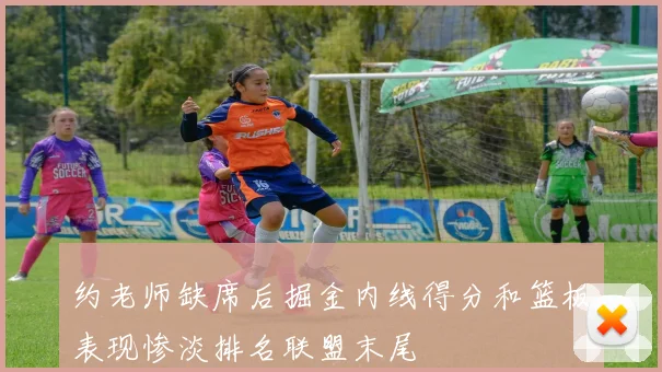 约老师缺席后掘金内线得分和篮板表现惨淡排名联盟末尾